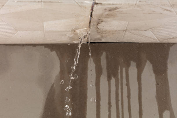 Professional Structural Drying technician working in Castaic, CA
